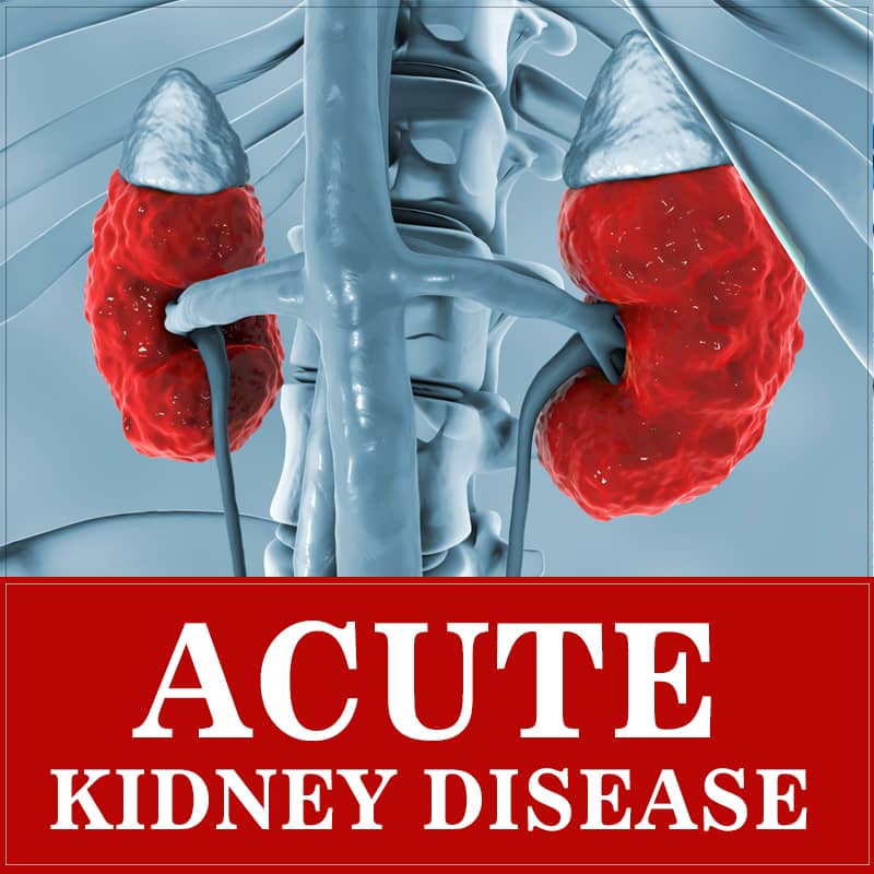 acute kidney disease treatment in ayurveda
