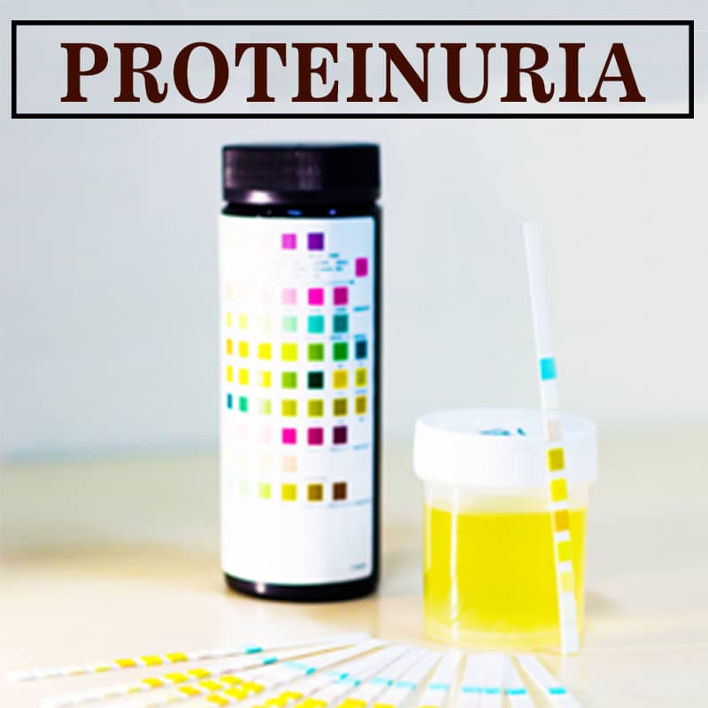 ayurvedic treatment for proteinuria